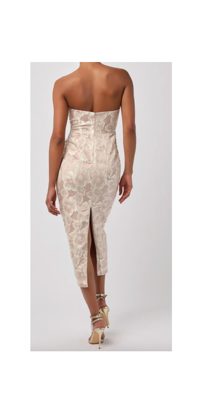 "WELL WATERED GARDEN" DRESS
