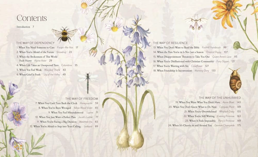 THE WAY OF THE WILDFLOWER BOOK