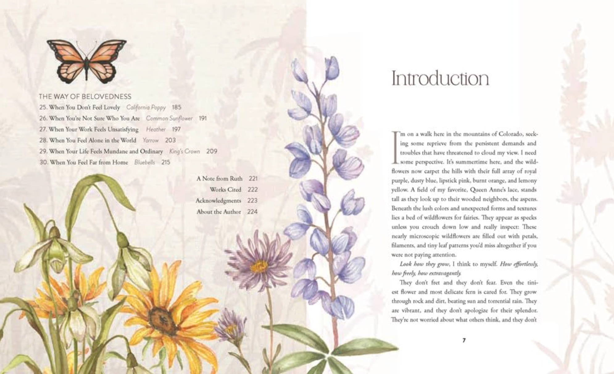 THE WAY OF THE WILDFLOWER BOOK