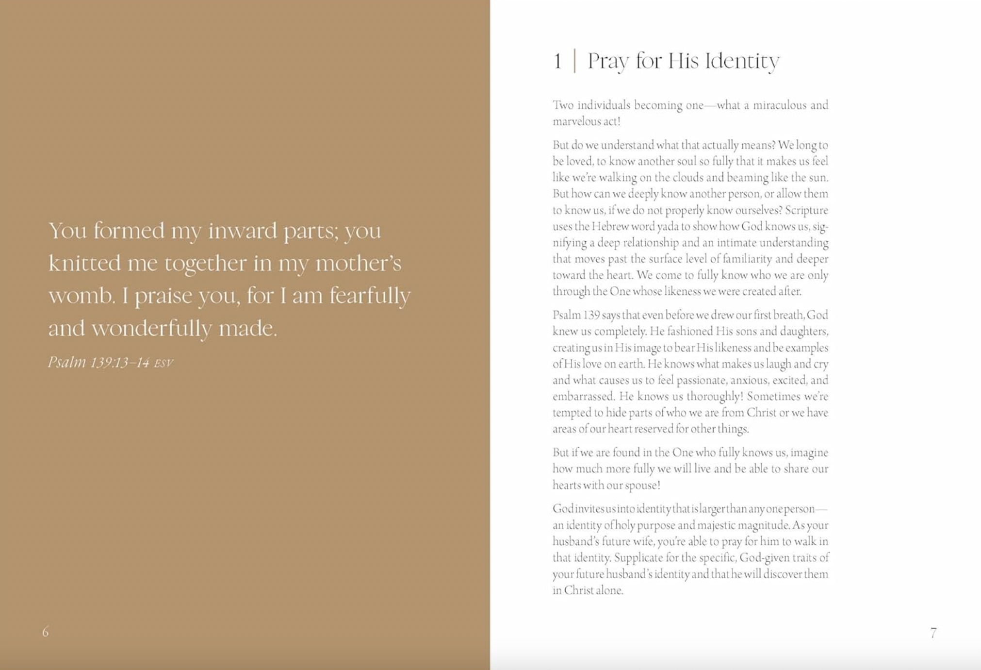 DEAR FUTURE HUSBAND BOOK