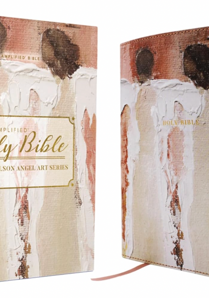 AMPLIFIED HOLY BIBLE ANGEL ART SERIES PINK COVER