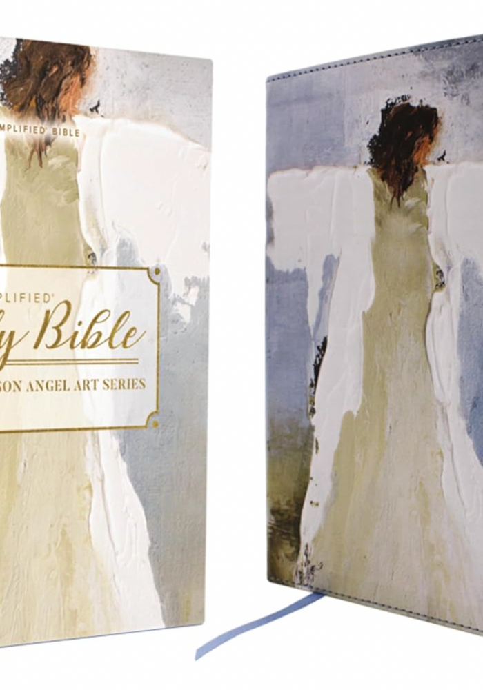 AMPLIFIED HOLY BIBLE ANGEL ART SERIES BLUE COVER