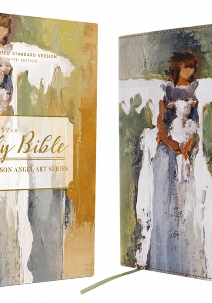 NRSV HOLY BIBLE ANGEL ART GREEN COVER