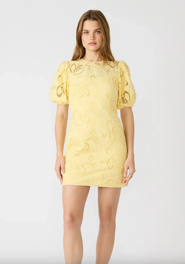 ELLY DRESS by Steve Madden