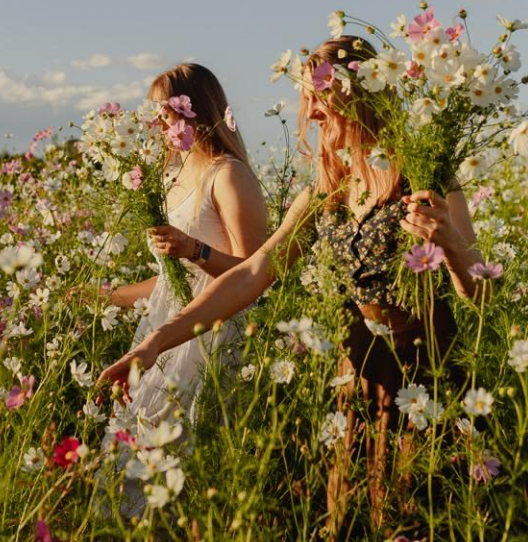 Meadow Muse Summer Florals